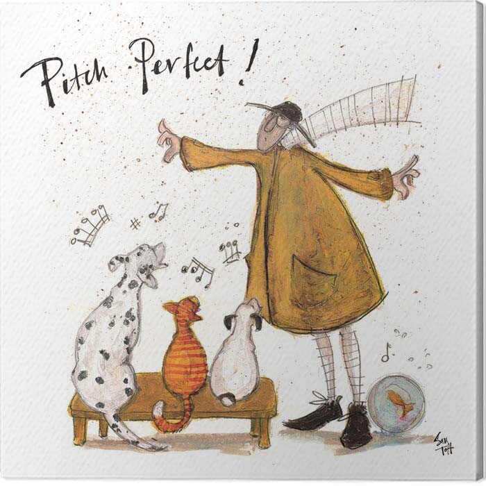 Quadro em tela Sam Toft - Pitch Perfect