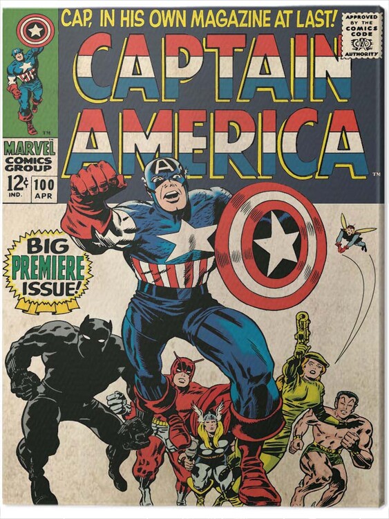 Canvas Print Captain America - Premier