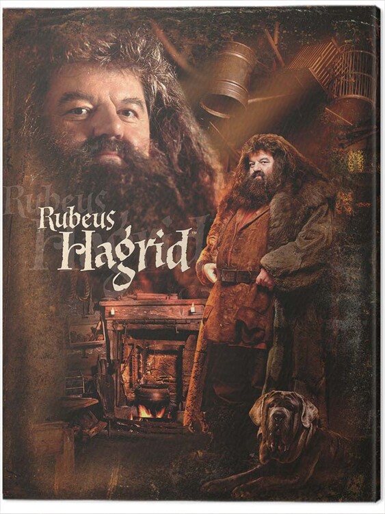 Принти на полотні Harry Potter - Hagrid