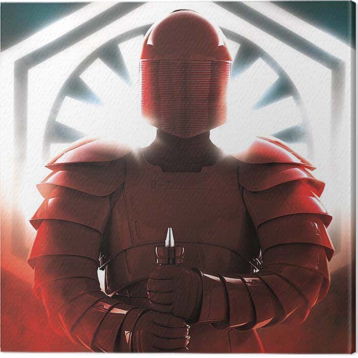 Принти на полотні Star Wars The Last Jedi - Elite Guard Defend