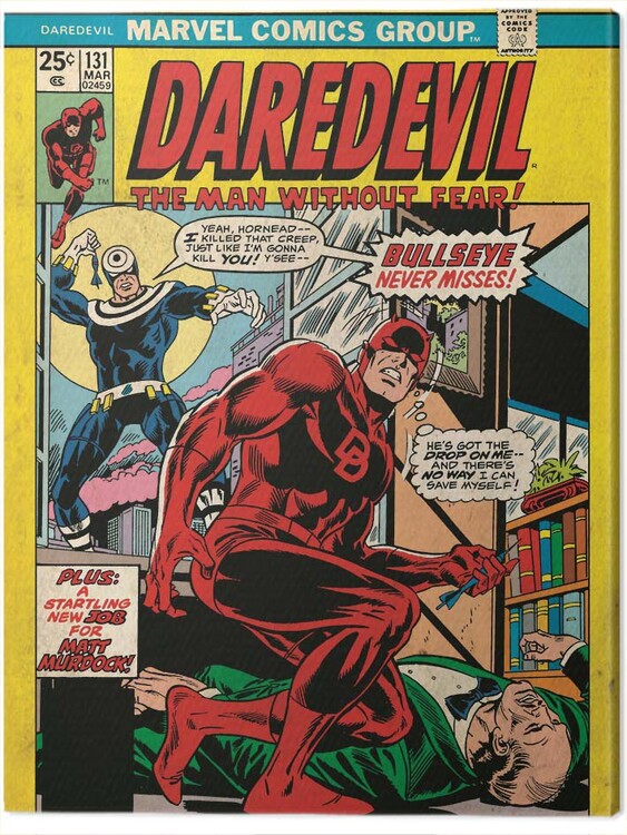 Quadro em tela Daredevil - Bullsyey Misse