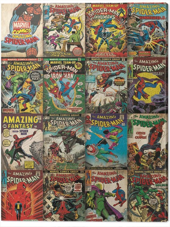 Canvas Print Spider-Man - Covers