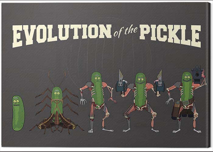 Принти на полотні Rick and Morty - Evolution of the Pickle