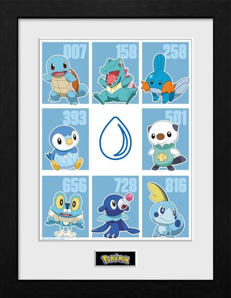 Framed poster Pokemon - First Partner Water