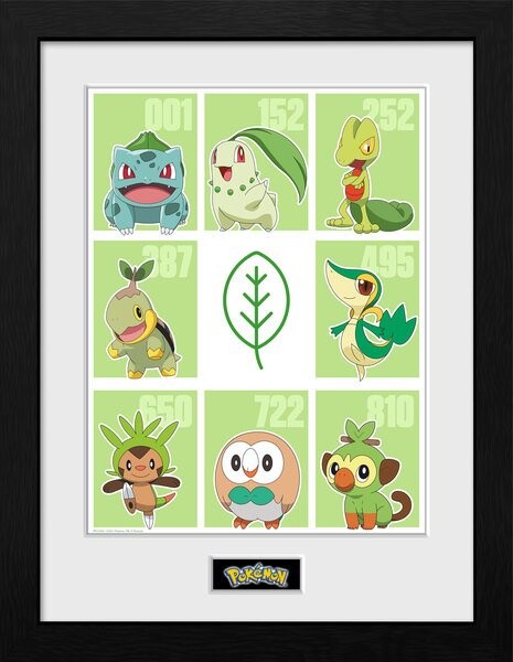 Κορνιζαρισμένη αφίσα Pokemon - First Partner Grass
