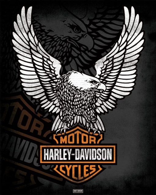 Плакат Harley Davidson - eagle