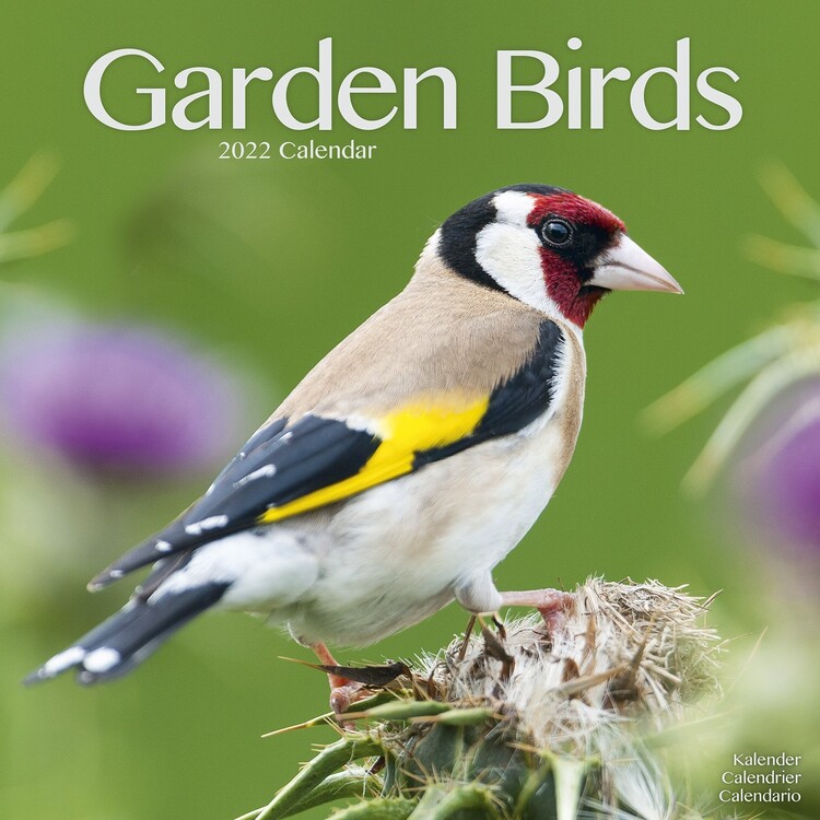 Kalenteri 2027 Garden Birds