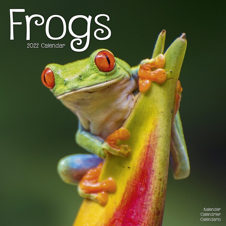 Kalendar 2027 Frogs