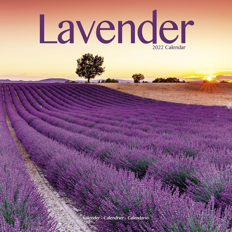 Calendar 2022 Lavender