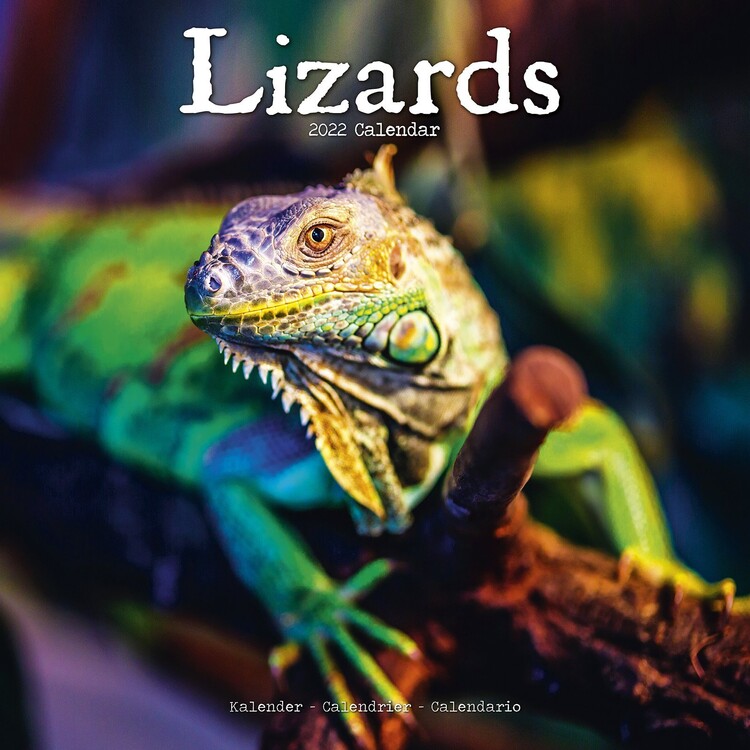 Kalendar 2027 Lizards
