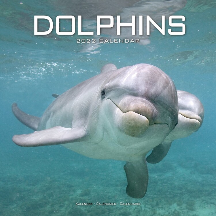 Koledar 2027 Dolphins