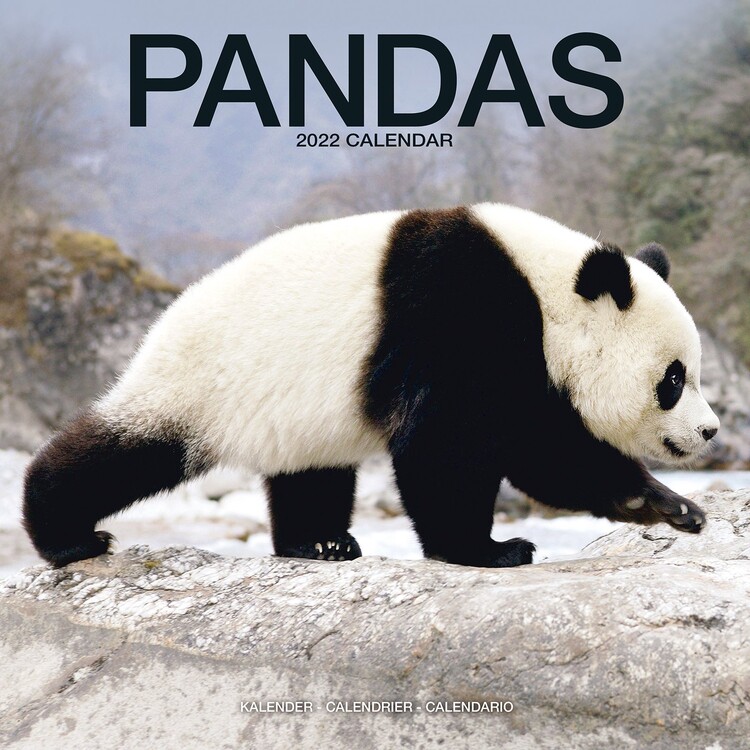 Kalendar 2027 Pandas