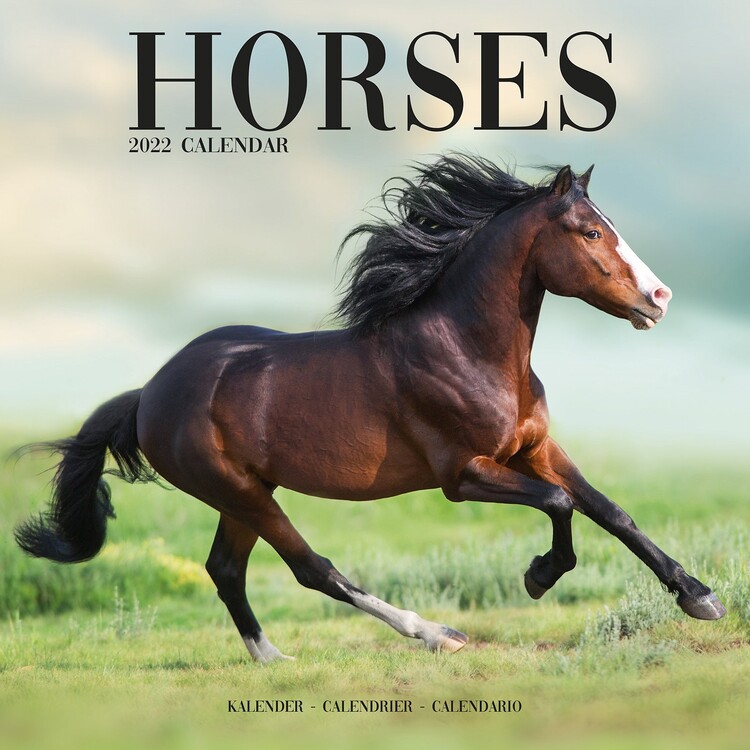 Kalenteri 2027 Horses