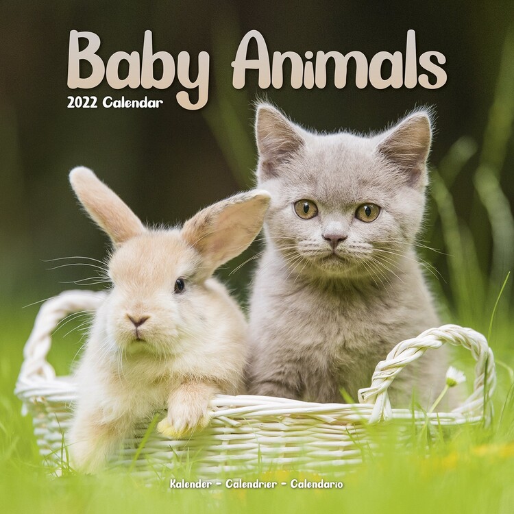 Calendário 2027 Baby Animals