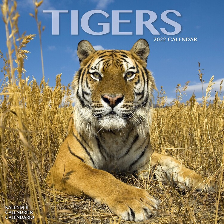 Календар 2027 Tigers