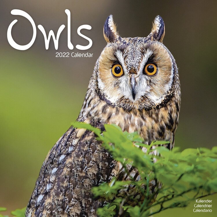 Kalenteri 2027 Owls