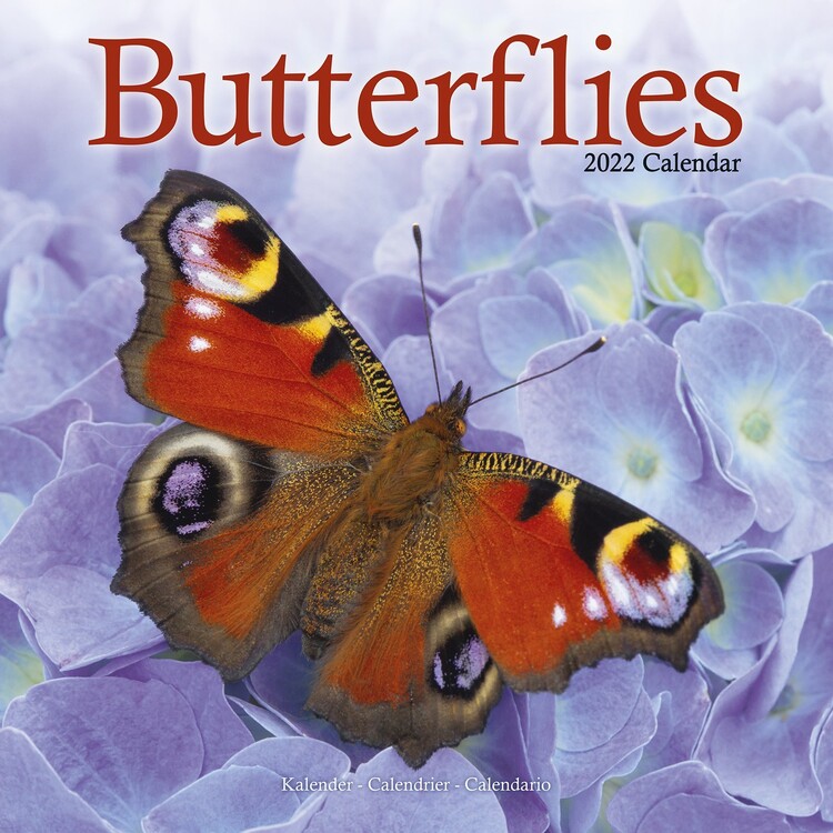 Kalendar 2027 Butterflies