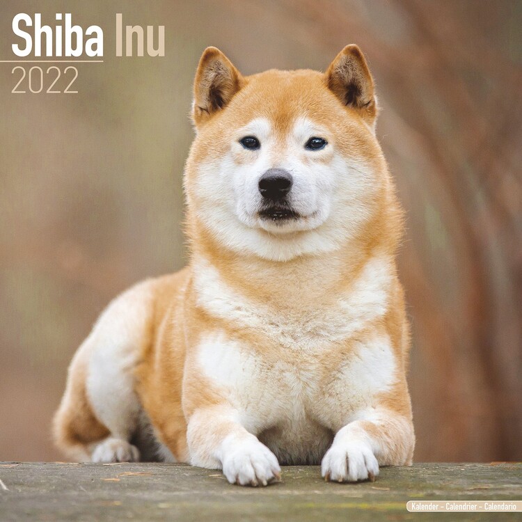 Ημερολόγιο 2027 Shiba Inu