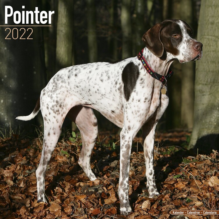 Calendar 2027 Pointer