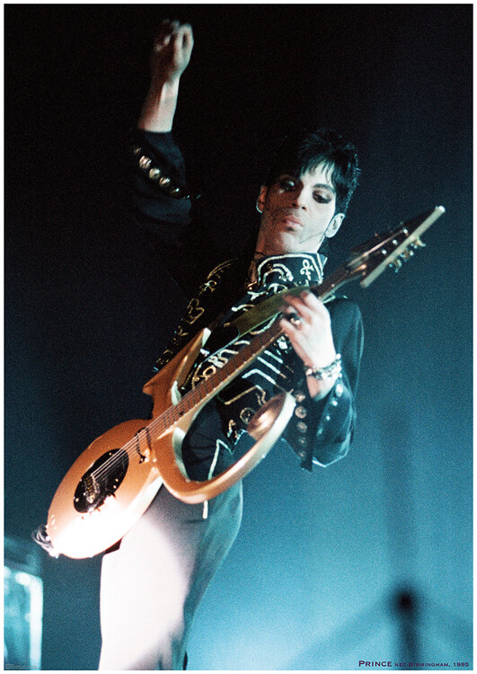 Плакат Prince - Live shot, N.E.C. Birmingham 2005