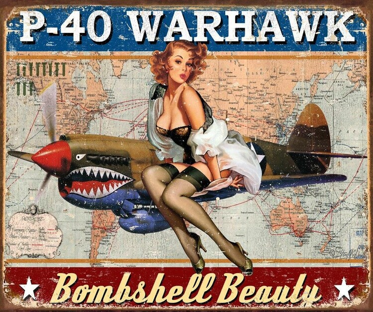 Metallikyltti P-40 Warhawk