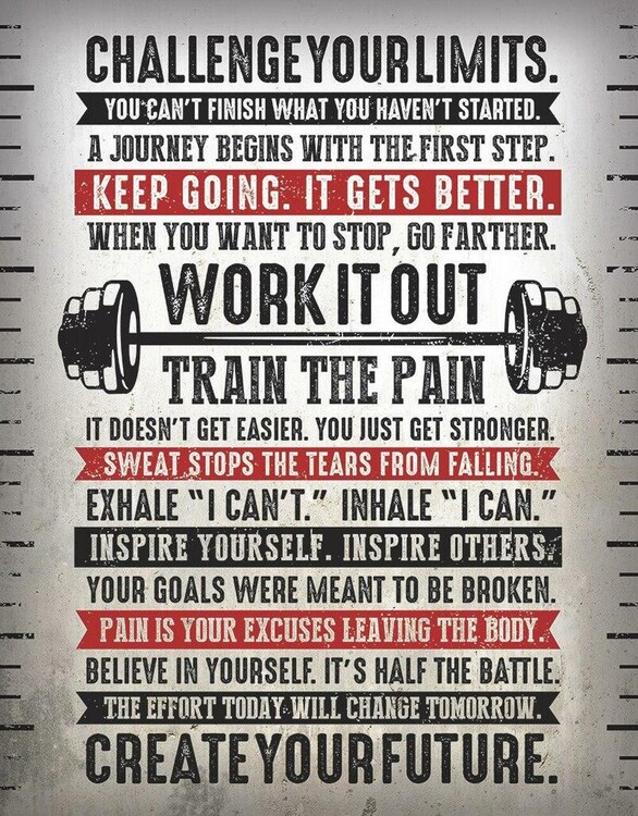 Metallikyltti No Limits