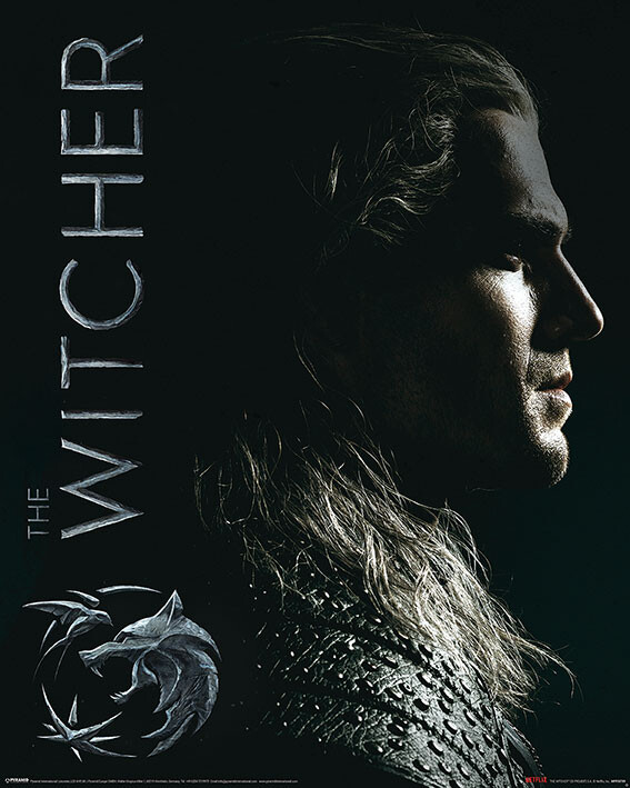 Плакат The Witcher - Shadows Embrace