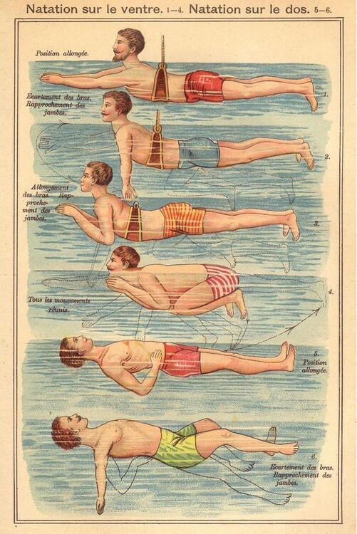 Плакат Friedrich Eduard Bilz - Natation