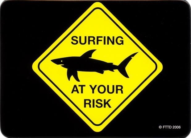 Magnet AT YOUR RISK - surfing