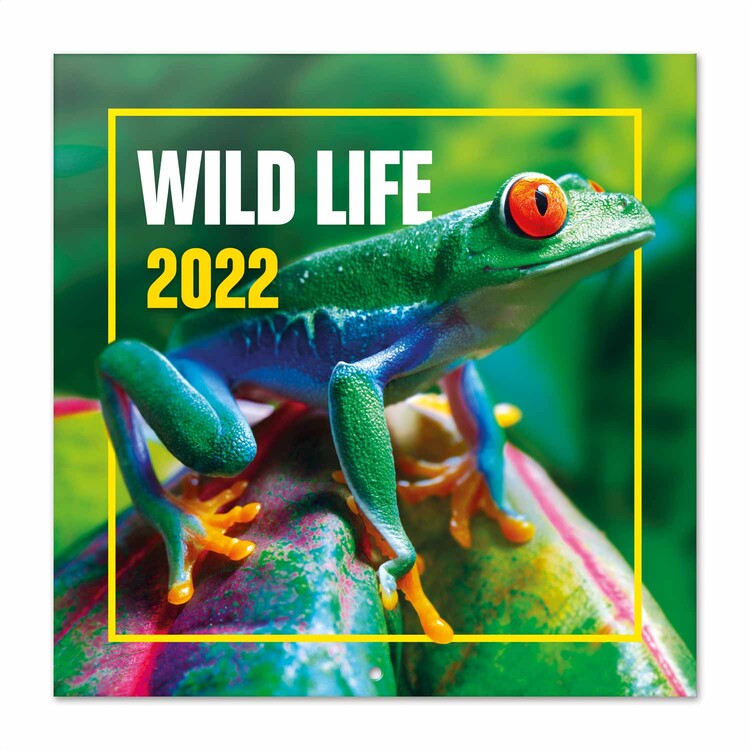 Ημερολόγιο 2027 Wildlife