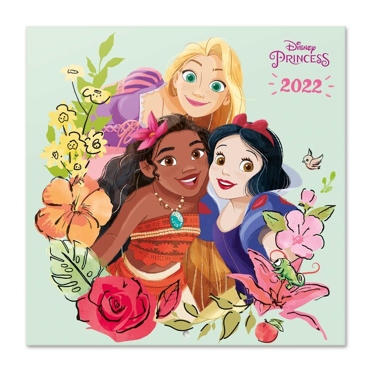 Ημερολόγιο 2027 Disney Princess