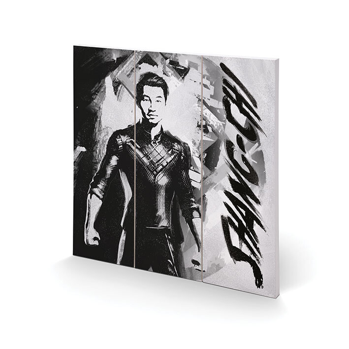 Ξύλινη τέχνη Shang Chi and the Legend of the Ten Rings - Zen Painting
