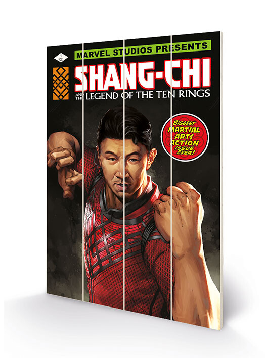 Ξύλινη τέχνη Shang Chi and the Legends of the Ten Rings - Battle Ready
