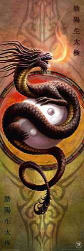 Poster Anne Stokes - yin yang protector