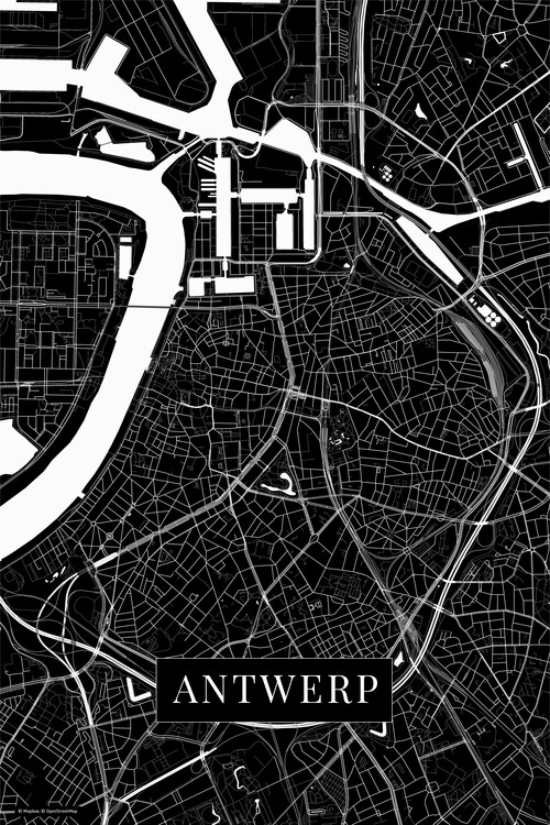 Принти на полотні Antwewrp black