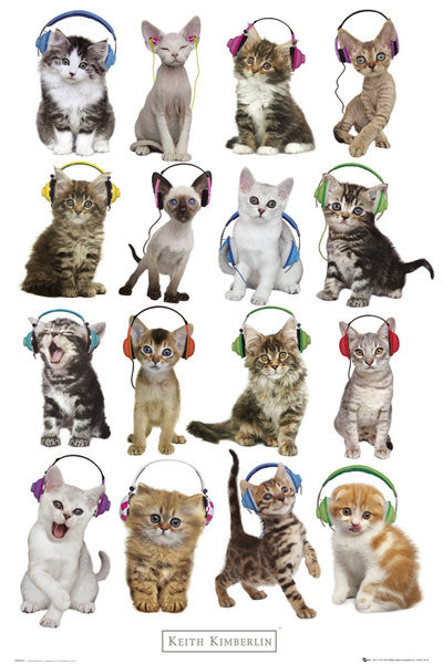 Плакат Keith Kimberlin - kittens headphones