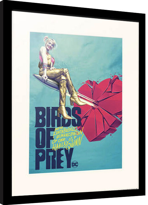 Κορνιζαρισμένη αφίσα Birds of Prey - Broken