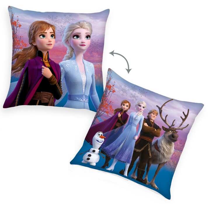 Jastuk Frozen 2 - Characters