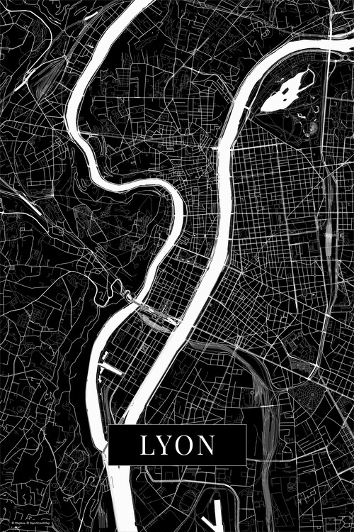 Плакат Lyon black