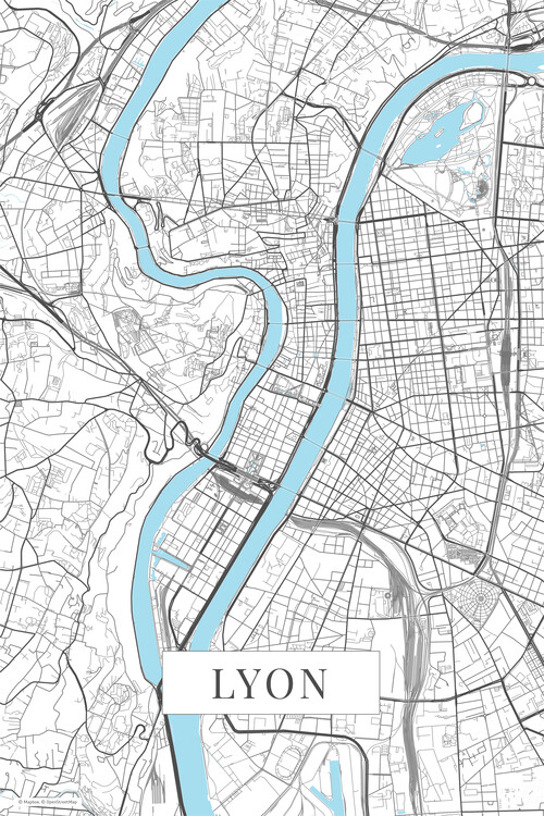 Плакат Lyon white