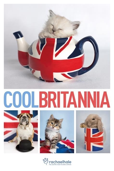 Плакат Rachael Hale - cool britannia
