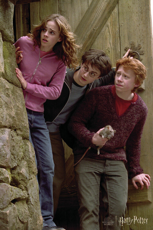 Принти на полотні Harry Potter - Famous trio