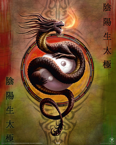 Плакат ANNE STOKES - yin yang protect