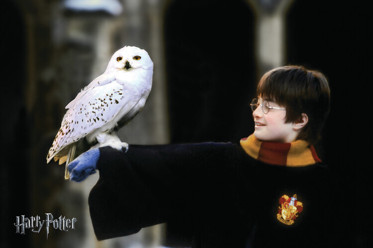 Принти на полотні Harry Potter with Hedvig