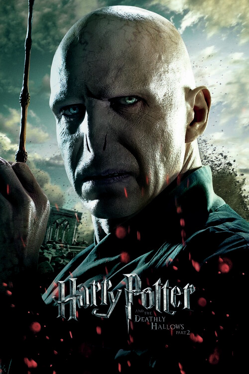 Плакат Voldemort