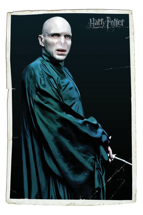 Плакат Voldemort