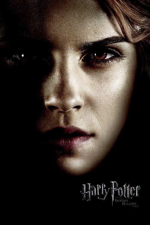 Плакат Harry Potter - Hermione