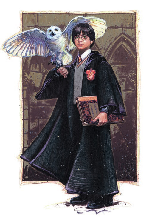 Naljepnica Harry Potter with Hedvig - Art