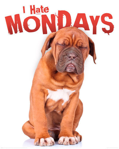 Плакат I hate mondays