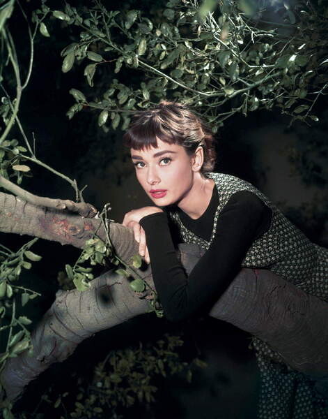 Плакат Audrey Hepburn
